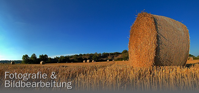 Titelfoto zur Bilderseite